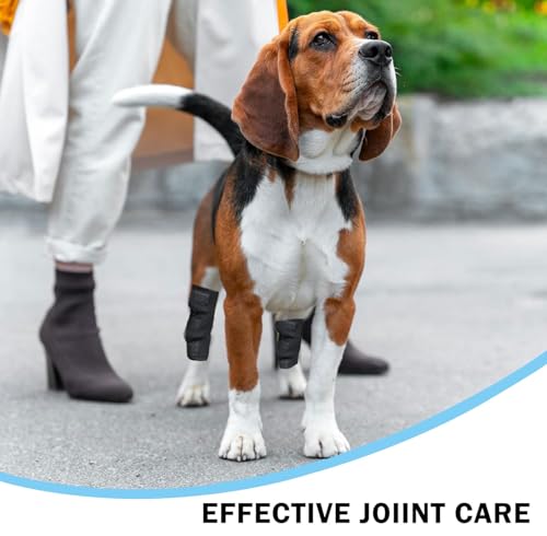 Image of 1 Pair Dog Leg Braces for Back Legs, Adjustable Hock Support Wrap for ACL Tear, Arthritis & Joint Pain Relief, Breathable Hind Leg Brace for Large & Senior Dogs (XL)