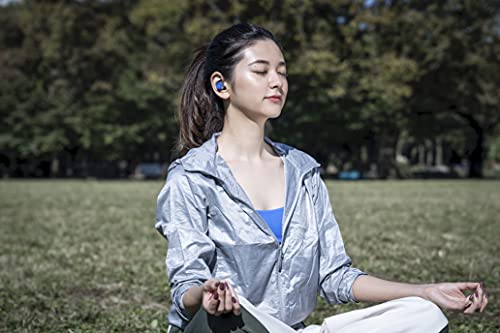 Image of JBL Reflect Flow Truly Wireless Sport In-Ear Headphone - Blue