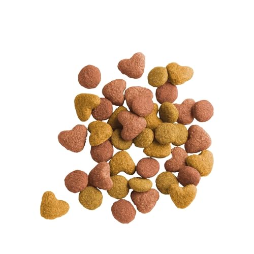 Image of Lara Senior with Turkey-Chicken - 2kg | Specially Designed for Senior Cats | Supports Healthy Aging, Joint Care & Digestive Health Ingredients