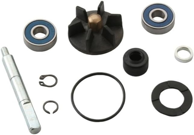 Scooter Water Pump Repair Kit for DNA Gp Ee 50 Pt St 50cc 100110020