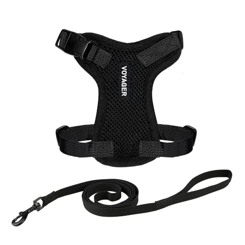 Image of Voyager Escape-Proof Step-in Lock Cat Harness & 5ft Neoprene-Handle Leash Set All-Weather Mesh with Reflective Stitching for Small to Large Cats by Best Pet Supplies, Black, XXS