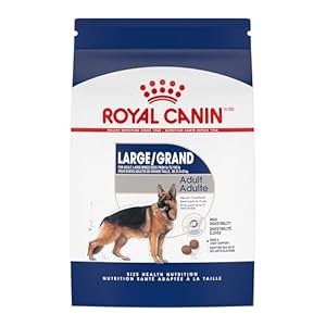 Royal Canin Large Breed Adult Dry Dog Food, 30 lb Bag
