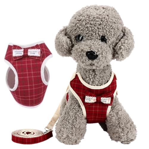 1 Pettorina per Cani con Guinzaglio, Anti-fuga, Guinzaglio Regolabile con 120 cm, per Cani e Gatti di Piccola Taglia (Rosso, Taglia S).