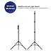 LS PHOTOGRAPHY 10 ft. Wide Adjustable Background Muslin Support Structure System Stand and Cross Bar for Screen Backdrop with 4 Pack String Holder, Stable Thick Pole, Photography Studio, LGG852