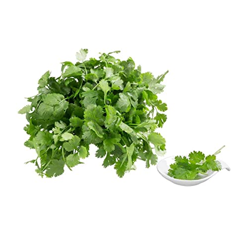 Sementes de Coentro Verdão (500g) ISLA