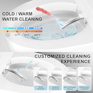 TDH Luxury Smart Toilet, Heated Seat with Warm Water Sprayer & Dryer, Walk Away Auto Flush and Close,One Piece Toilet for Bathrooms with Remote Control