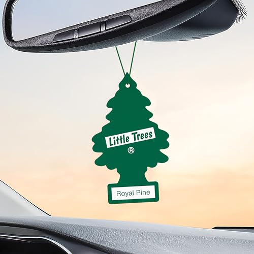 LITTLE TREES Car Air Freshener | Hanging Tree Provides Long Lasting Scent for Auto and Home | Royal Pine, 24 Air Fresheners by LITTLE TREES - Image 6