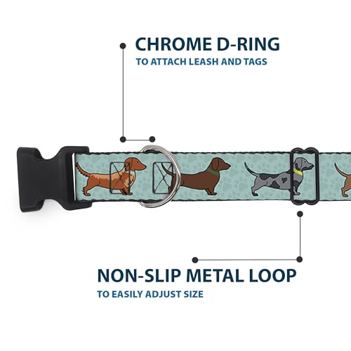Buckle-Down Dackel-Halsband für 4 Hunde/Pfoten, Kunststoff, 2,5 cm breit, passend für 27,9–43,2 cm Halsumfang, Größe M