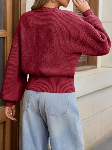 Image of Saodimallsu Womens Batwing Long Sleeve Sweaters Casual Crewneck Loose Chunky Knit Fall Pullover Tops