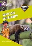 Shinoy and the Chaos Crew: Why do we sleep?: Band 08/Purple (Collins Big Cat)