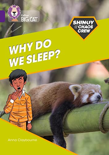 Shinoy and the Chaos Crew: Why do we sleep?: Band 08/Purple (Collins Big Cat)