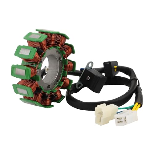 STATOOK Magneto Stator 12 Coil Corrosion and Moisture Resistance Electric Motor Stator Replacement Par Compatible with 2007-2009 GTR250 Pocket Bike Motorcycle