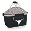 Texas Longhorns