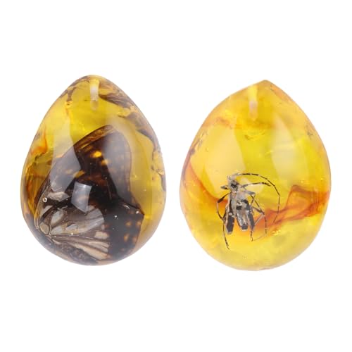 MUELODSIC 2 Piezas Ámbar Natural con Insectos Fósiles de Especímenes Ovalados Piedras Decorativas para Colección y Colgantes Únicos Patrón Aleatorio para Hogar y Exhibición Científica