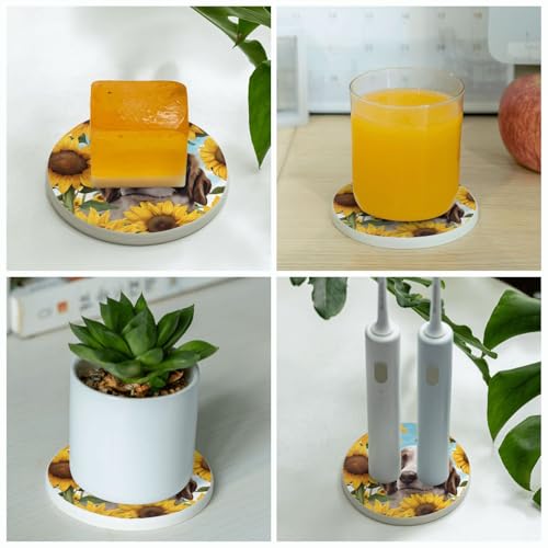 Dessous de verre terre de diatomée absorbant pour bouteille et café - 7