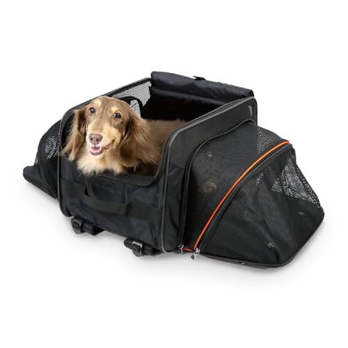 ibiyaya - Expandable Pet Carrier for Dogs and Cats - JetPaw Expandable Pet Carrier for Cats, Dogs, and Rabbits - Airline Approved and Travel Friendly 5 in 1 Dog Carrier - Black and Orange