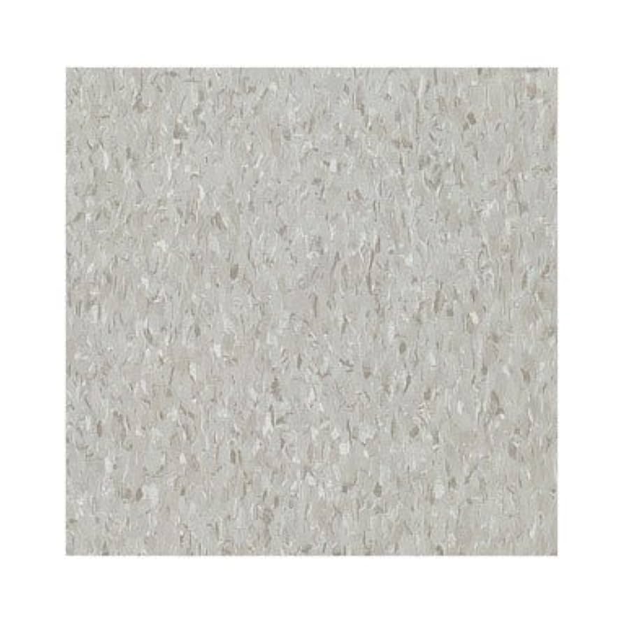 Kaco★ ARMSTRONG WORLD INDUSTRIES 51904 Sterling / 45 Sq. Ft. Per