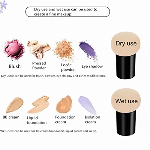 Éponge de maquillage champignon pour BB crème et routine beauté rapide du matin