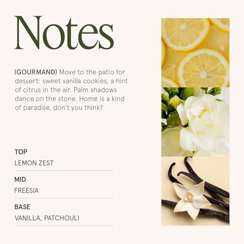 LA JOLIE MUSE Vanilla Bomb Candle | Vanilla, Lemon Zest & Patchouli | 6 oz Cotton Wick | Natural Soy Wax | 40 Hours Clean Burn | Gift-Ready for Hosts | Elegant Home Décor