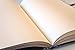 Maya Blue Grande Unlined Hardcover Journal, 240pg, 120GSM by Paperblanks (Silver Filigree Collection)