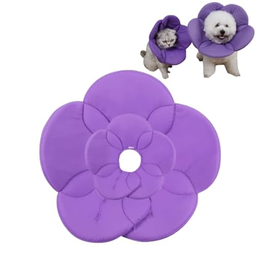 POPETPOP p h~ybgp[vAJo[lbNpiƔL݂̋̌̎  - lbNNGCeBu GUxXps[  Lp TCY  p[v T[N M