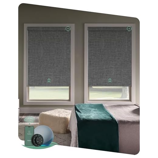 Yoolax Motorized Smart Blind for Window with Remote, Automatic Blackout Roller Shade Work with Alexa Google Home, Electric Solar Blind Customize for Sliding Door, Living Room (Fabric-Dark Grey)
