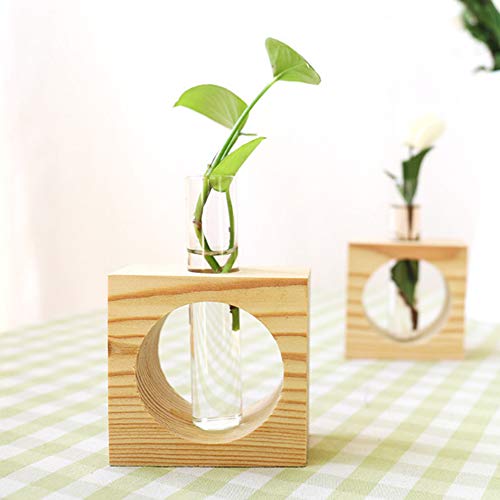 XWU Vaso de Vidro, Tubo de teste de vidro cristal planta terrário vaso vasos de flores para plantas