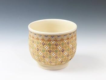 41EIwYiTOTL._AC_UF350,