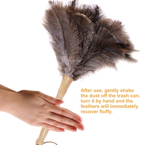 Image of Genuine Ostrich Feather Duster 15 inch