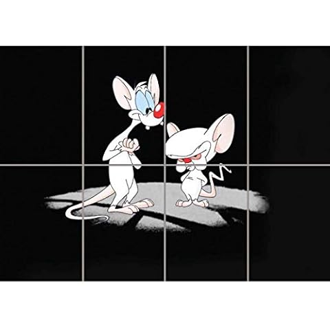 Pinky And The Brain Wall Art Multi Panel Poster Print 47x33 inches Cover