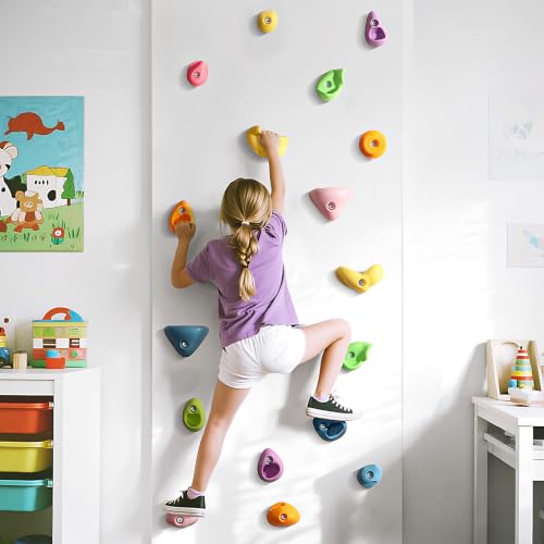 Image of 20Pcs Rock Climbing Holds, Multi Size Climbing Wall Grips for Kids Adults