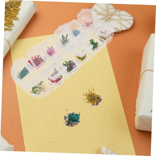 Kit de Flores Naturales Secas y Resina para Manualidades miniatura 7