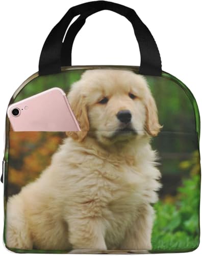 q̃S[fgo[ ۗ⃉`obO ٓ 킢 e ܂ y RpNg fMA~V[g |Pbgt g[gobN