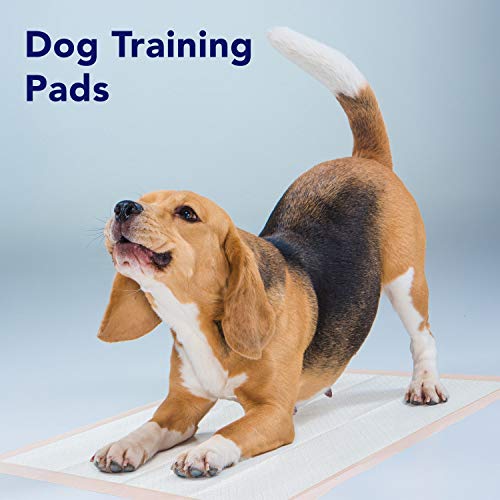 Premium Disposable Chucks Underpads 25 Pack, 30" X 36" - Highly Absorbent Bed Pads For Incontinence And Senior Care - Peach Color - Leak Proof Protection #TOP5