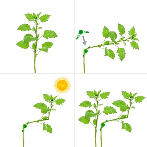 BLISSANY Pflanzenbieger Set mit 25 Clips – Pflanzenclips - Triebe lenken, Wachstum fördern – für perfektes Pflanzenwachstum – für Jede Pflanze geeignet (Pflanzenbieger 360 Grad)