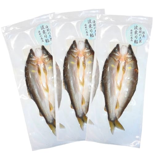 天然波乗り鮎の一夜干し 約250g 4〜9尾 干物 一夜干し 鮎 天然 熟成 あゆ アユ 天然鮎 清流 海部川 川魚 簡単調理 冷凍