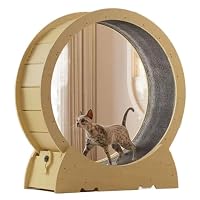 Amazon | Dazzixキャットホイール 猫ホイール 猫ランニングホイール