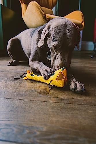 BecoThings Beco Pet BPT-004 Hundespielzeug - George The Giraffe, M
