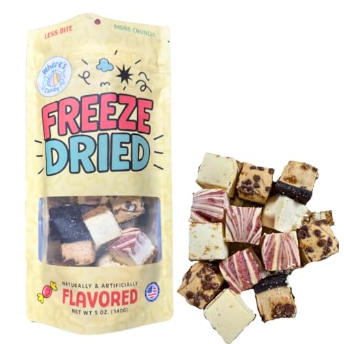 Freeze Dried Cheesecake Bites | Astronaut Dessert | NO FREEZER
