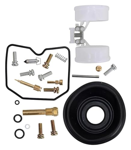 Kit de réparation carburateur moto KVF360 flotteur diaphragme pour Kawasaki Prairie 360 03-13