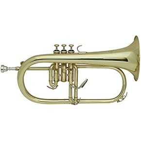 Amazon.co.jp: フリューゲルホルン - 金管楽器: 楽器・音響機器