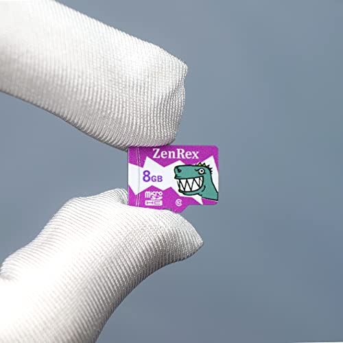 Tarjetas De Memoria, Personal Computer memoria micro sd 8gb Marca ZenRex (3)