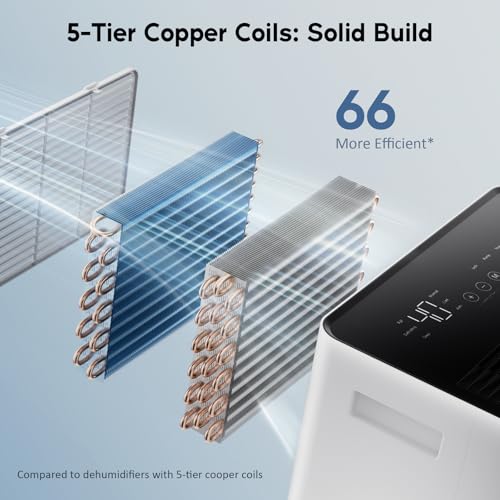 Commercial Grade Dehumidifier for Basements