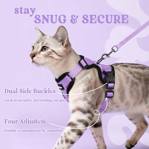 Image of rabbitgoo Cat Harness and Leash Set, Escape Proof Vest, Light Purple | Soft Breathable Mesh, Easy Adjustable Fit, Snap Buckles, Sturdy Clip, Reflective Strips, for Small & Average Cats Walks, Xs