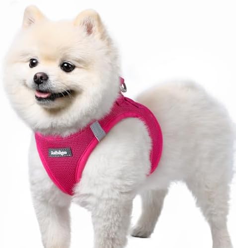 rabbitgoo Arnes Perro Pequeño Rosa Rojo S, Arnés Antitirones para Perros Ajustable Fácil de Poner, Arnes Cachorro de Malla Suave Transpirable, Chaleco Reflectante para Perro Pequeño y Mediano