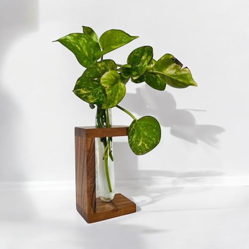 LEAFY INDOOR Minimalist Wooden Vase with Glass Test Tube | Unique Decorative Planter for Small Plants, Flowers, and Hydroponics | Perfect for Home, Office, and Gift Ideas | Corporate Gifting