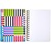 C.R. Gibson MJN2-25648 Signature Bold Stripes Twin Wire 3-in-1 Blank, Dot Grid, and Lined Journal with 480 Pages, 8.5