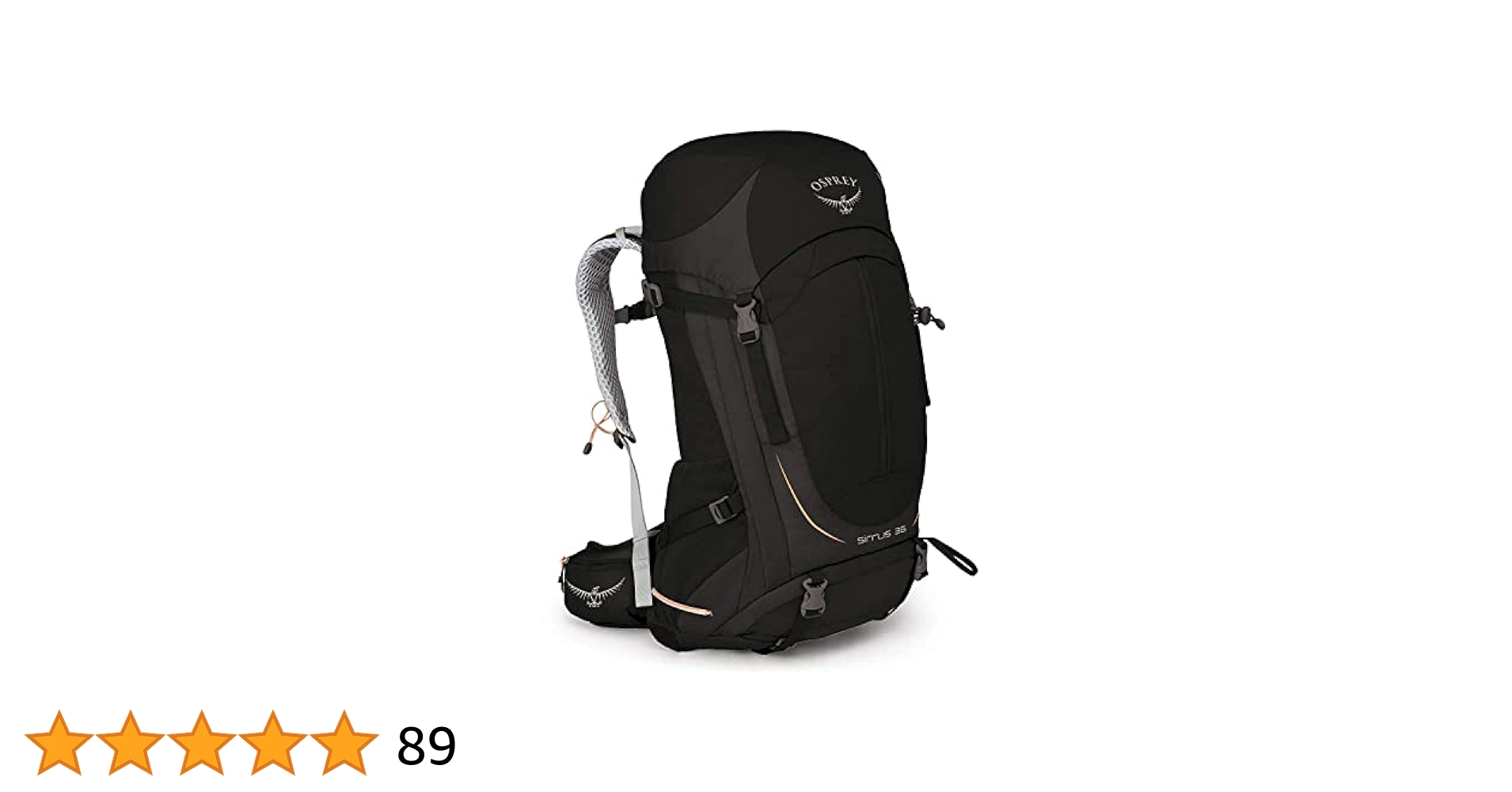 OSPREY オスプレイ SIRRUS 36 リュック 61RLnp6NxTL._UY1000_.jpg