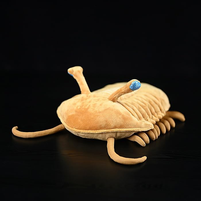 lilizzhoumax Simulation Paleontology Series-Trilobite Plush Toy 30cm/11.8” Realistic Stuffed Animal Wild Paleontology Series-Trilobite Plush Toy Gift for Friends and Kids brown