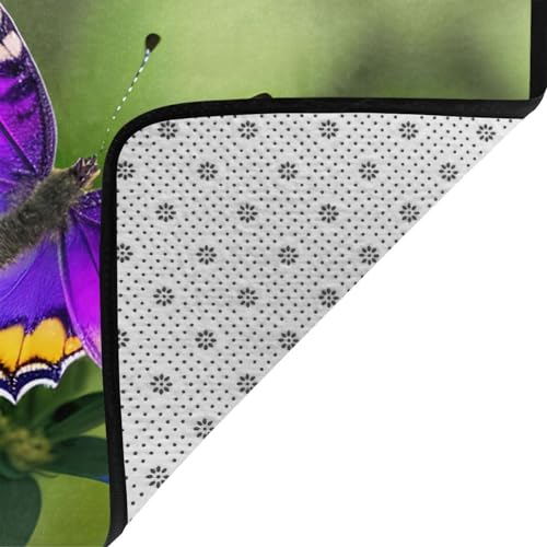 Tapis papillon violet de haute qualité avec des couleurs inaltérables
